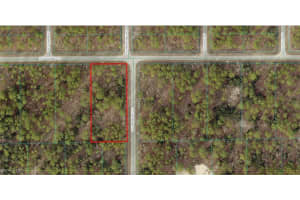 1815-001-001 Winding Hills Road, Dunnellon, FL 34431 Sold 01/14/25