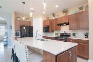 17409 Silverspur Drive, Punta Gorda, FL 33982 Sold 04/08/25