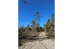  Godden Grove RD, Fort Myers, FL 33913 - MLS#224101568