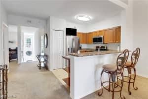 10115 Villagio Palms Way, Estero, FL 33928 Sold 01/17/25