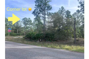 3106 13th Street, Lehigh Acres, FL 33972 - MLS#224104449