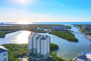 420 Cove Tower Drive, Naples, FL 34110 Sold 01/30/25