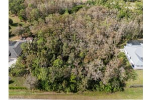 25546 Busy Bee Drive, Bonita Springs, FL 34135 - MLS#225000262