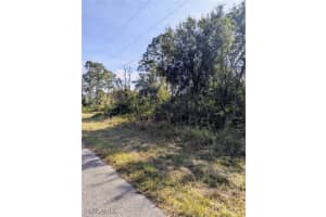 1122 Cove Street, Lehigh Acres, FL 33974 - MLS#225001079