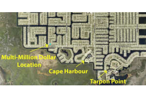2406 54th Lane, Cape Coral, FL 33914 - MLS#225002410