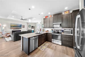 MLS# 225003159, Cape Coral, Florida 33991