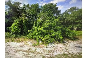 1244 Echard Street, Lehigh Acres, FL 33974 - MLS#225004518