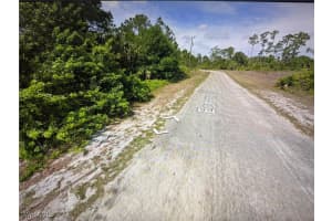 1244 Echard Street, Lehigh Acres, FL 33974 - MLS#225004518