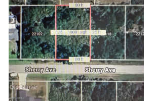 22110 Sherry Avenue, Port Charlotte, FL 33954 - MLS#225004527