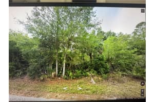 23431 Buckner Avenue, Punta Gorda, FL 33980 - MLS#225004535