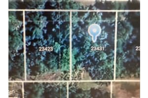 23431 Buckner Avenue, Punta Gorda, FL 33980 - MLS#225004535