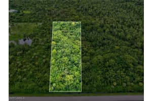  Shady Hollow BLVD E, Naples, FL 34120 - MLS#225004876