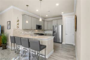 20030 Parrot Key Court, Estero, FL 33928 Sold 06/16/25