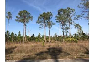 913 Broadway Avenue, Lehigh Acres, FL 33972 - MLS#225006263