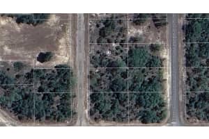 6495 Underwood Drive, Dunnellon, FL 34434 Sold 02/13/25