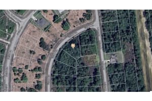 1882 Vintage Avenue, Lehigh Acres, FL 33972 - MLS#225009295