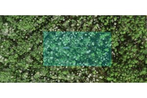 25-26-10-000000-012060 Commonwealth Avenue, Polk City, FL 33868 Sold 10/01/25