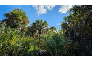 811 Opal Court, Labelle, FL 33935 - MLS#225010528