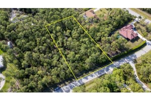 25188 Papillion Drive, Bonita Springs, FL 34135 - MLS#225011339