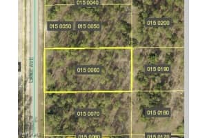 1312 Lake Avenue, Lehigh Acres, FL 33972 - MLS#225011536