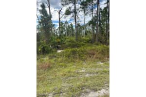 1054 Manta Avenue, Lehigh Acres, FL 33974 - MLS#225012050