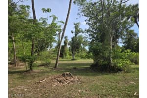 254 Mariana Avenue, North Fort Myers, FL 33903 - MLS#225013159