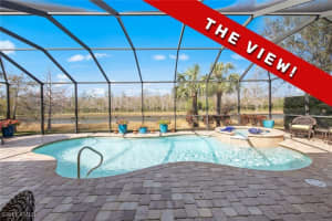20410 Black Tree Lane, Estero, FL 33928 Sold 05/27/25