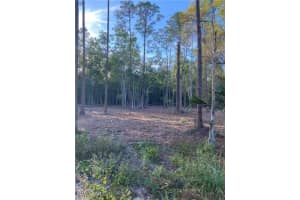 1983 Markley Avenue, Naples, FL 34117 Sold 05/21/25