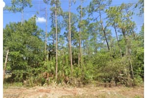 936 Desoto Boulevard, Naples, FL 34117 - MLS#225017801