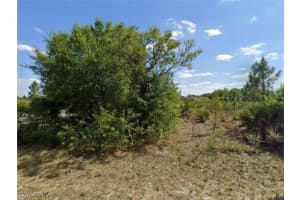 2701 49th Street, Lehigh Acres, FL 33971 - MLS#225018538