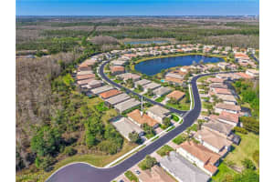 10055 Mimosa Silk Drive, Fort Myers, FL 33913 Sold 05/06/25