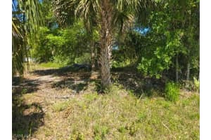 6009 Jonathan Avenue, Fort Myers, FL 33905 - MLS#225021188