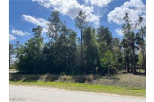  43rd AVE NE, Naples, FL 34120 - MLS#225023773