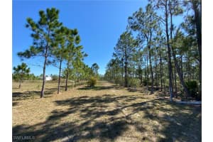 46920 Bermont Road, Punta Gorda, FL 33982 Sold 07/31/25