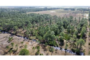 46920 Bermont Road, Punta Gorda, FL 33982 Sold 07/31/25
