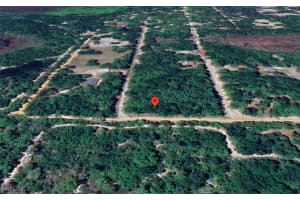 3344 Alamanda Terrace, Inverness, FL 34450 Sold 04/22/25