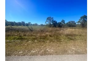 1910 Moore Avenue, Lehigh Acres, FL 33972 - MLS#225026748