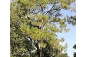  2nd AVE NE, Naples, FL 34120 - MLS#225026829