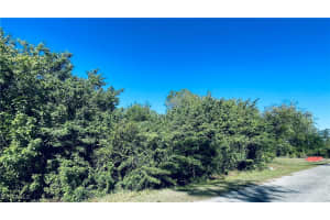 1413 Gerald Avenue, Lehigh Acres, FL 33972 - MLS#225027034