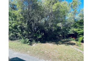 1413 Gerald Avenue, Lehigh Acres, FL 33972 - MLS#225027034