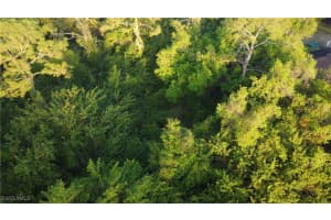 1413 Gerald Avenue, Lehigh Acres, FL 33972 - MLS#225027034