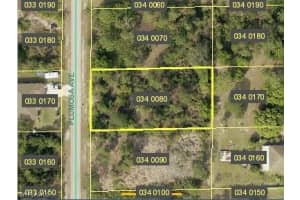 1408 Plumosa Avenue, Lehigh Acres, FL 33972 - MLS#225027684