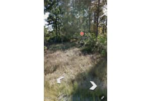 1130 Coons Street, Lehigh Acres, FL 33974 - MLS#225029629