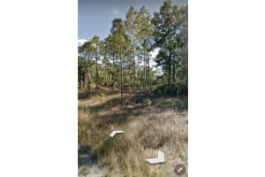 1130 Coons Street, Lehigh Acres, FL 33974 - MLS#225029629