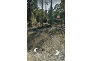 1132 Coons Street, Lehigh Acres, FL 33974 - MLS#225029637