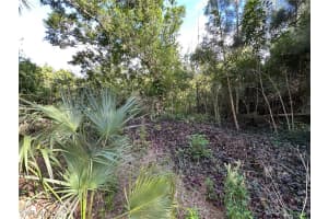 7655 Bogart Drive, North Fort Myers, FL 33917 Sold 04/08/25