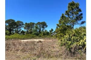 338 Genoa Avenue, Lehigh Acres, FL 33974 - MLS#225031771