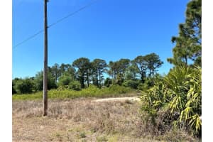 338 Genoa Avenue, Lehigh Acres, FL 33974 - MLS#225031771