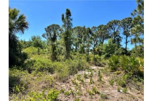 338 Genoa Avenue, Lehigh Acres, FL 33974 - MLS#225031771