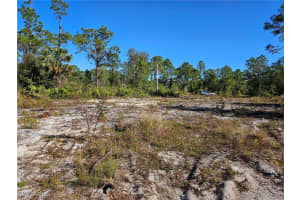 373 Omaha Court, Lehigh Acres, FL 33972 - MLS#225032166